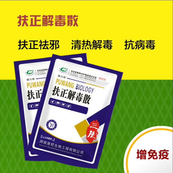 扶正解毒散