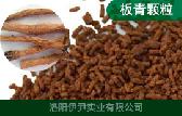 板青颗粒图片